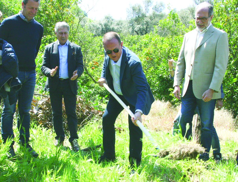 Sorrento, stop alle 48 case: battaglia legale Ceps-Comune - Vimarsana News