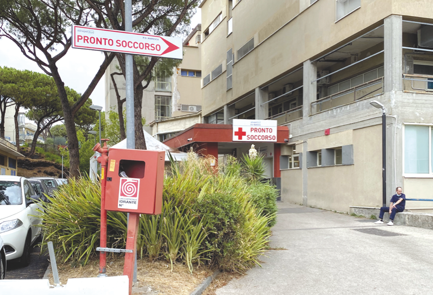 Azzannata da un pitbull mentre gioca con i genitori nella villa comunale, una bimba di 2 anni di Salerno viva per miracolo