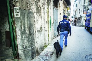 Castellammare, D’Alessandro alleati con mafia e ‘ndrangheta