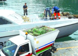 Pesca illegale, blitz della finanza: a Sorrento sequestrate 150 nasse fuorilegge