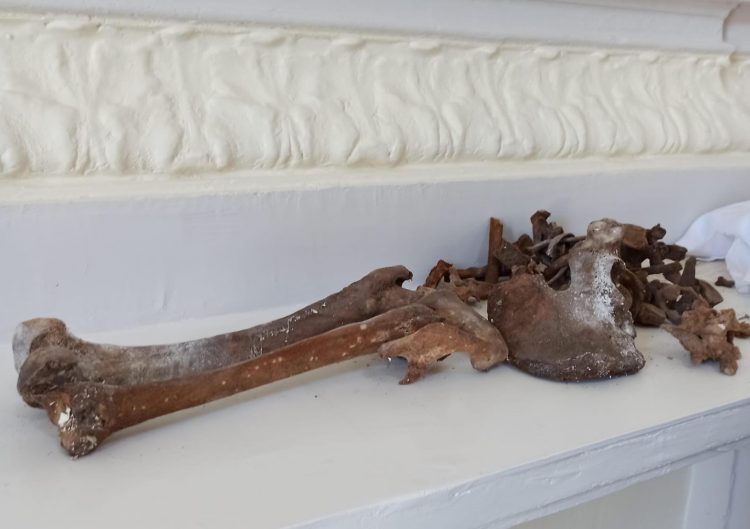 Scheletro trovato in chiesa a Boscoreale, attesa per l’esame del dna sulle ossa