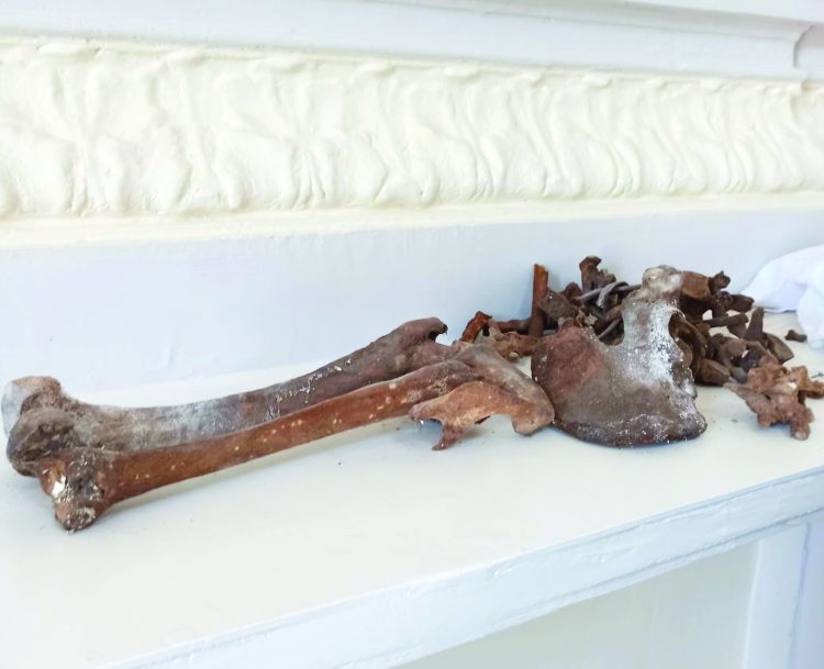 Il giallo dei resti di scheletro trovati in una chiesa a Boscoreale, la procura apre un’inchiesta