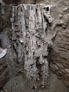 scavi-pompei-armadi-bauli-la-casa-della-middle-class