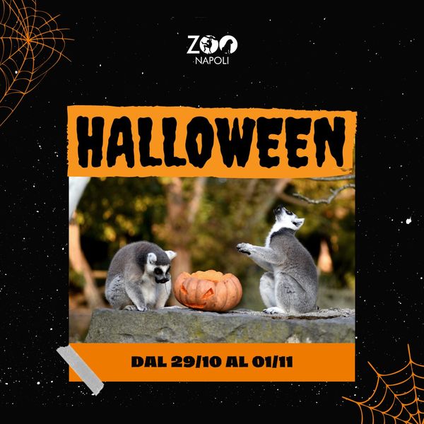 Allo Zoo di Napoli da sabato 29 ottobre a martedi 1 novembre, un programma pauroso per Halloween 2022