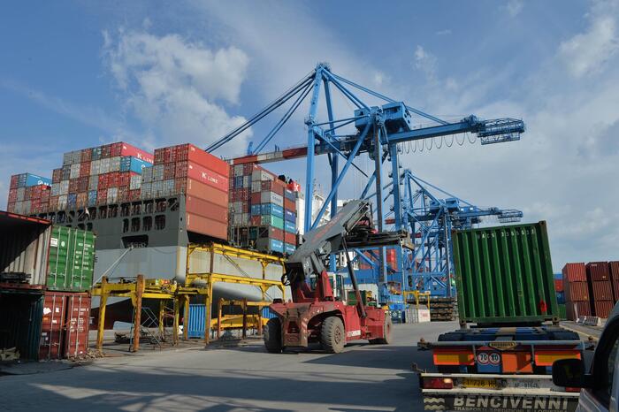 Pomodoro Made in Italy: calo dell’export tra dazi e concorrenza sleale