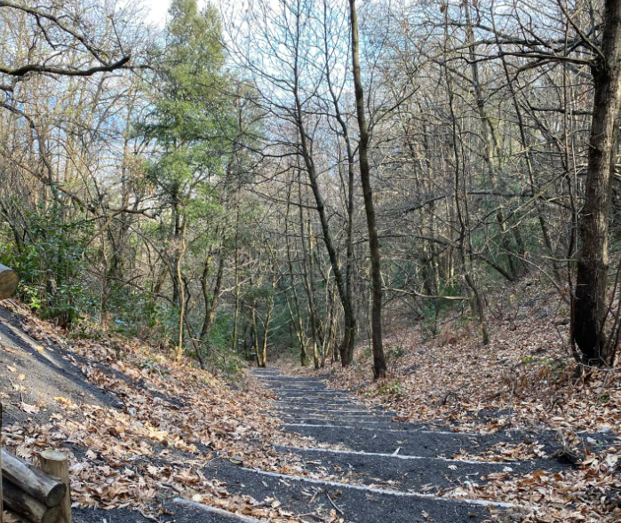 Scomparso da Palma Campania, ore di angoscia per Raffaele Sorrentino: ricerche in tutto il Vesuviano