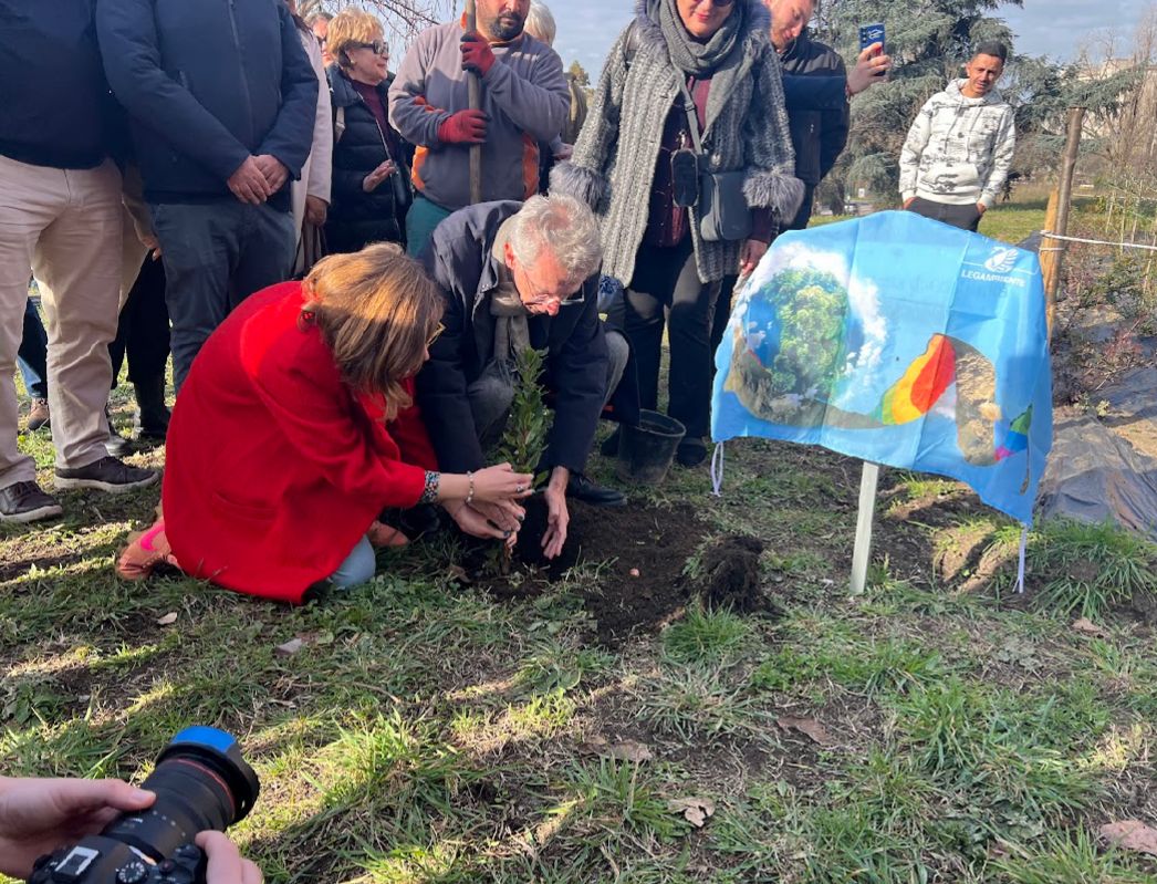 Campania sempre più verde: le foreste crescono del 10% in vent’anni