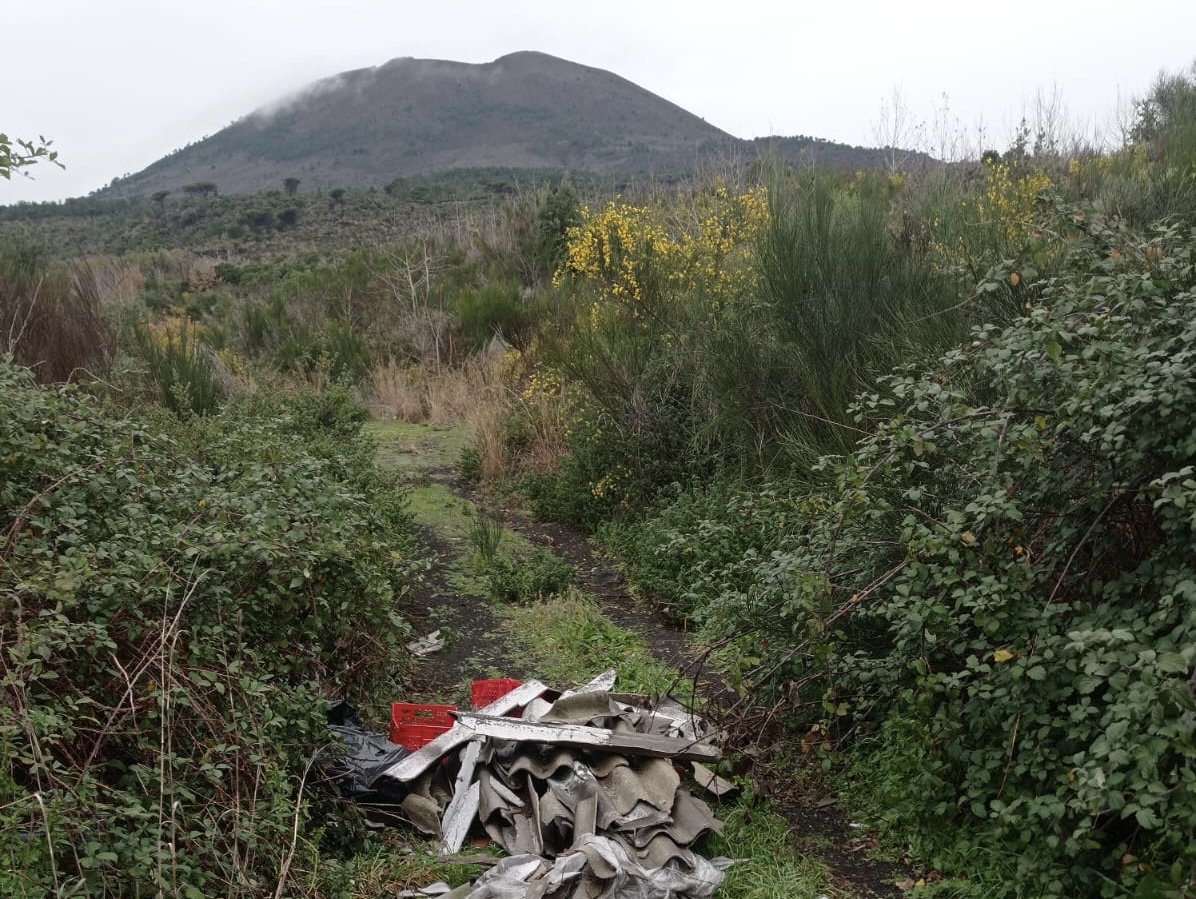 Dati sanitari condivisi e lezioni nelle scuole: medici, istituzioni e associazioni fanno rete per il dramma della Terra dei Fuochi