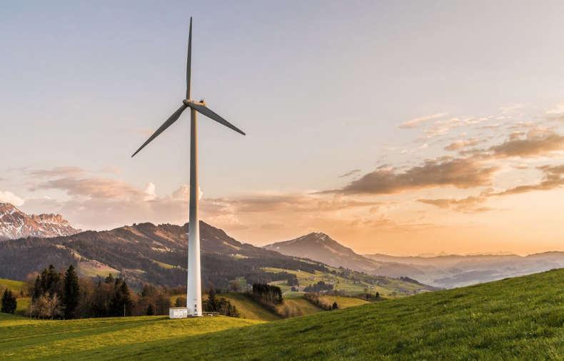 Campania sempre più verde: le foreste crescono del 10% in vent’anni