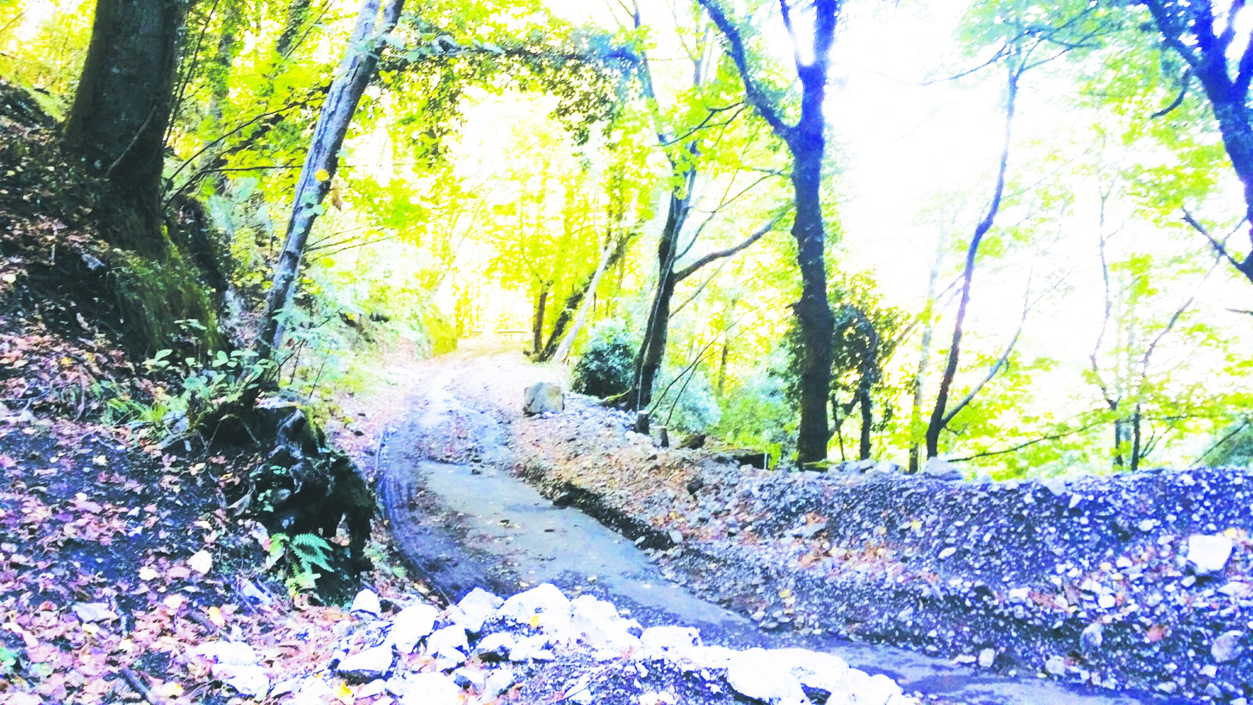 Castellammare. I residenti del rione Scanzano: «Il nostro quartiere è abbandonato»