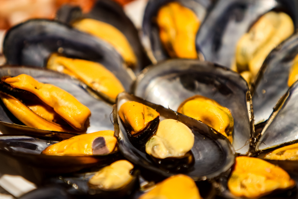 Epatite A, scatta l’allerta a Napoli: i medici di base chiedono scorte urgenti di vaccini