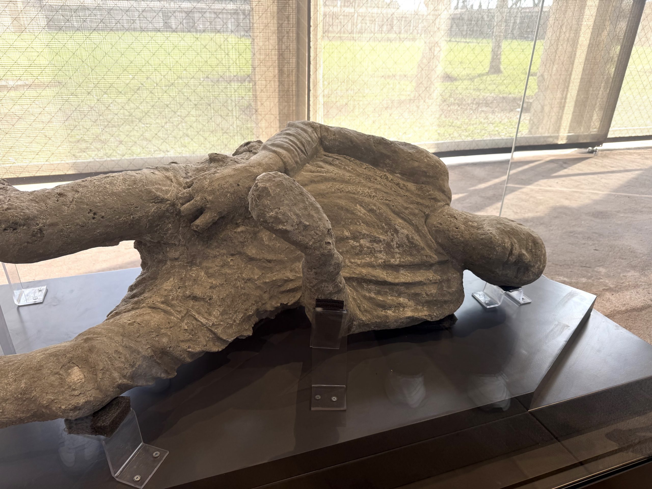 Lo Stato compra il Sannazaro di Napoli, rinascita dopo il devastante incendio che lo ha distrutto