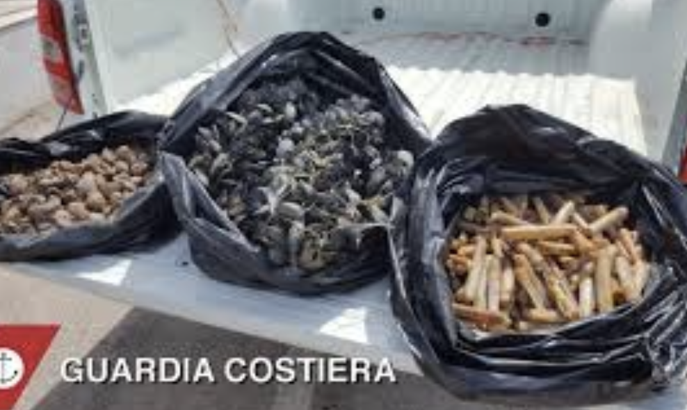 Epatite A, scatta l’allerta a Napoli: i medici di base chiedono scorte urgenti di vaccini