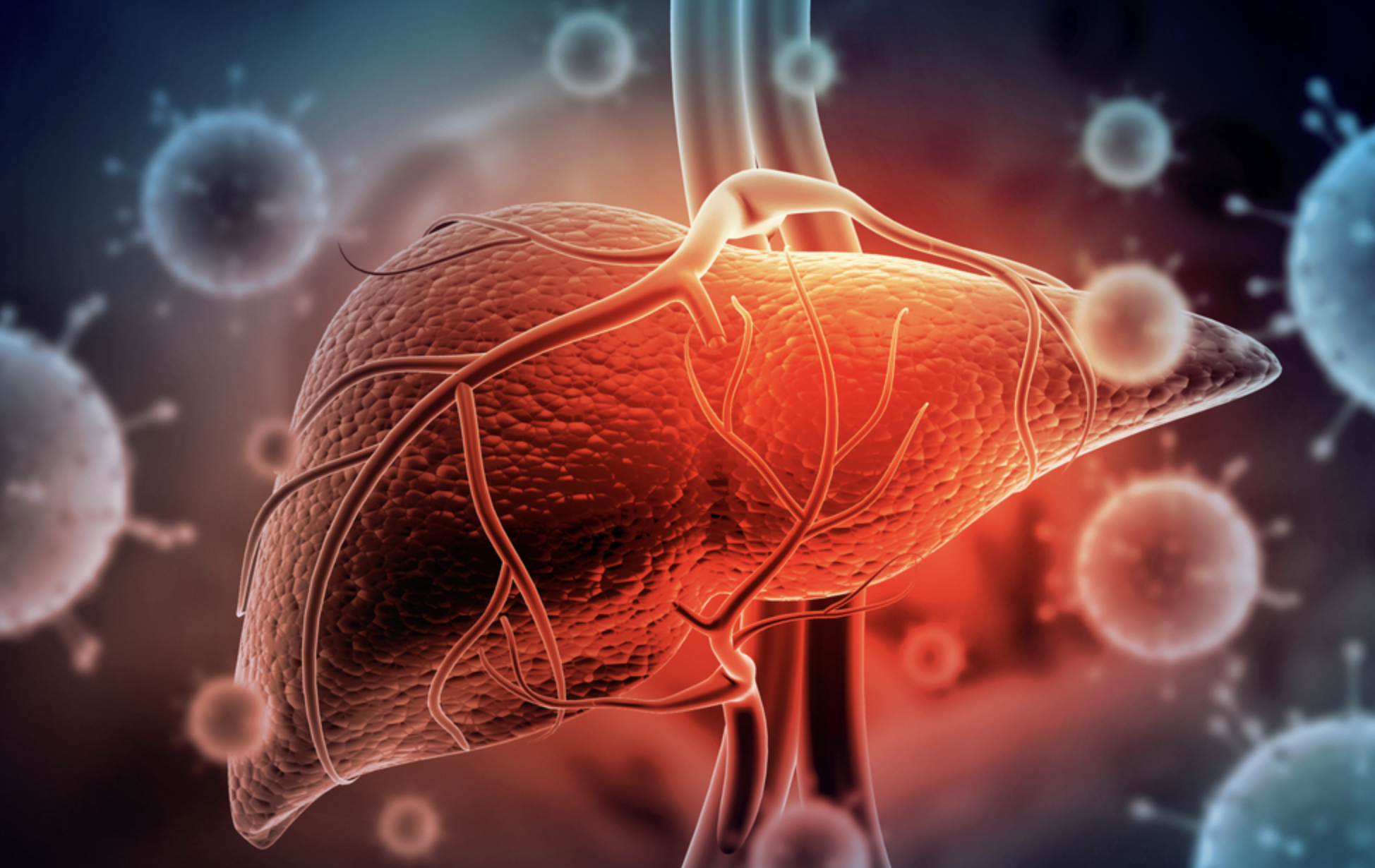 Emergenza Epatite A a Napoli: scatta il divieto assoluto per i frutti di mare crudi
