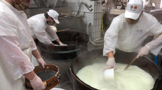La mozzarella fa i conti con la guerra in Iran, costi di produzione in aumento fino al 70%