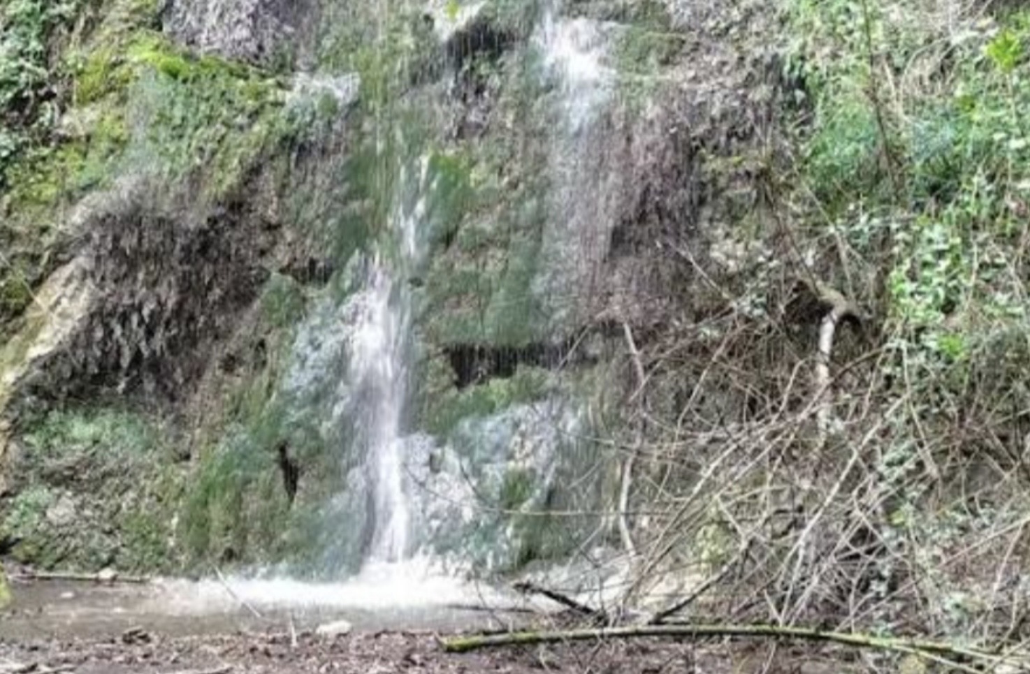 Castellammare. Tre milioni per i boschi di Quisisana