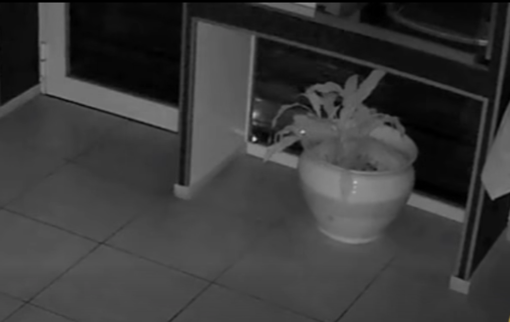 Castellammare. Tenta di uccidere il fratello: arrestato