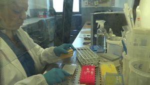 I laboratori dell'IZSM di Portici