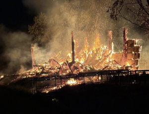 L’inferno di fuoco nel parco archeologico di Longola | FOTO