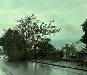 Bomba d’acqua: grandine e diversi alberi caduti tra Castellammare e l’area vesuviana